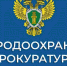 5vudi6axxl0s1vid4ylatq7tnt7tboas.jpg - Ахтынский район